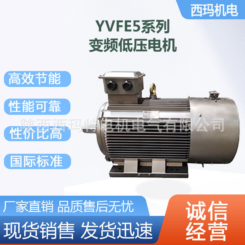 西安西玛电机YVFE5-315M-4极132KW低压变频交流三相异步电动机厂
