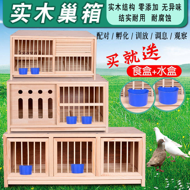 信鸽配对笼赛鸽配对巢箱实木繁殖笼松木鸽子笼子包邮结实耐用防腐