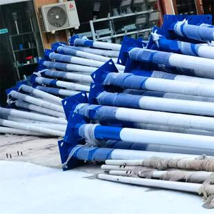 6米8米10米LED市电路灯金豆路灯道路照明单臂路灯