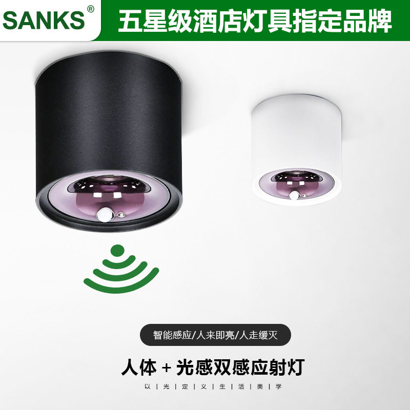 三棵松感应灯人体感应嵌入式天花灯入户门过道阳台玄关智能光控灯