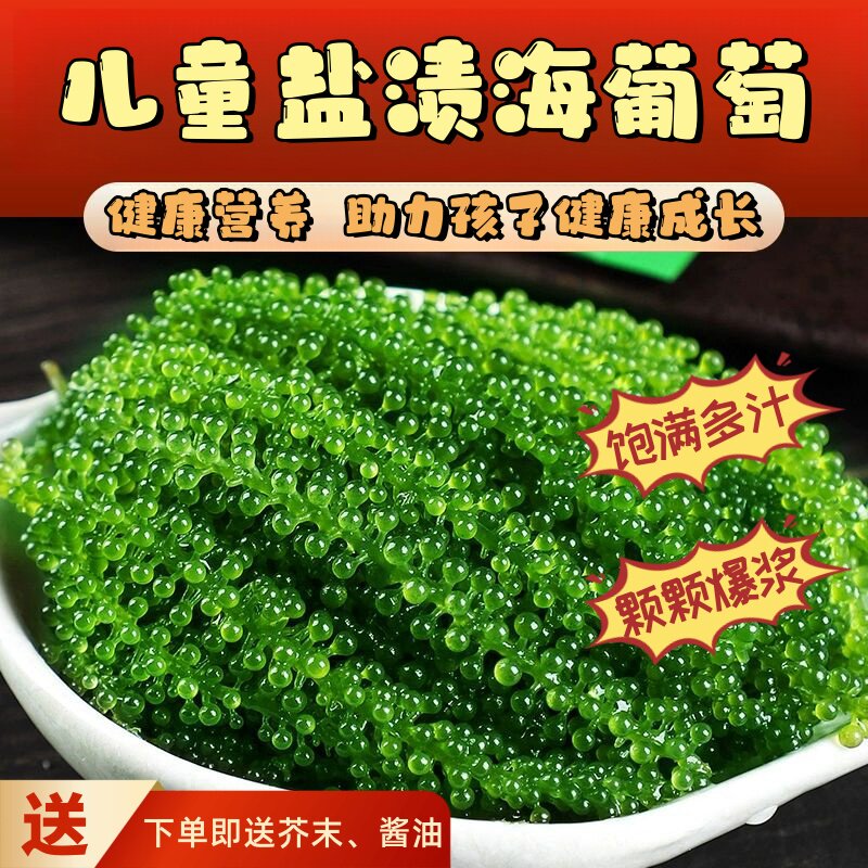 儿童海葡萄即食绿色鱼子酱泡发小孩零食新鲜盐渍海葡萄官方旗舰店
