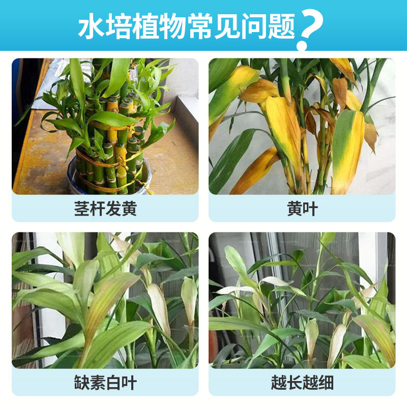 速发优质水培植物营养j液富贵竹绿萝发财树专用通用型盆栽稀释肥