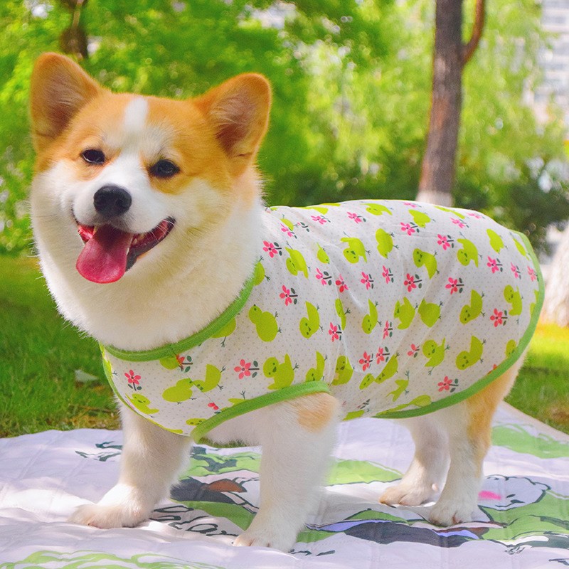 速发柴犬柯基比熊凉凉防服春夏薄季款马甲防掉毛防脏衣晒背心