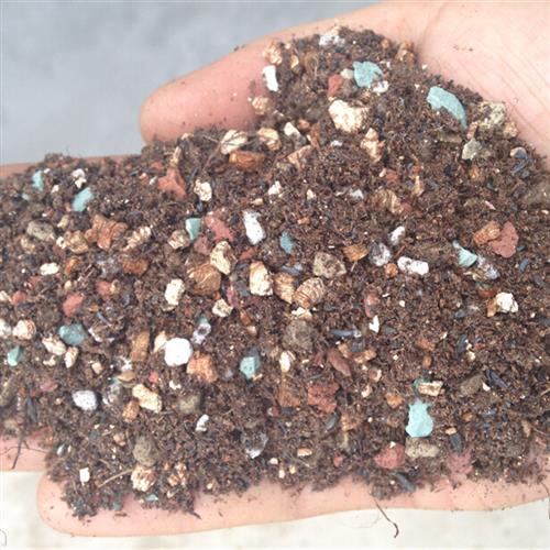 速发厂家多肉植物颗岩土 石汉泥炭土蛭石珍珠粒火山大轻石多肉土