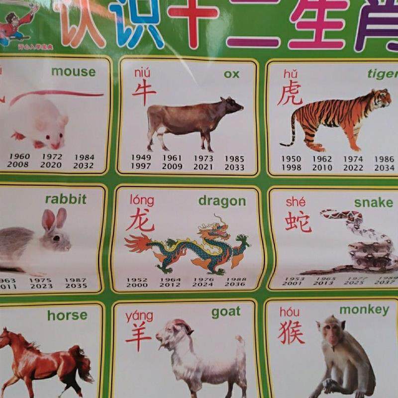 速发无声挂图宝宝看图认知识字挂图幼儿早教墙贴儿童早教纸质挂图