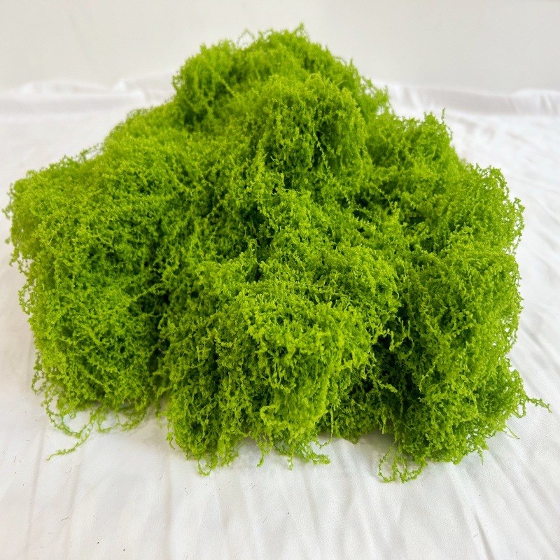 速发绒毛线花饰品苔藓青苔草坪草皮软装景观植物墙门头铺配件彩色