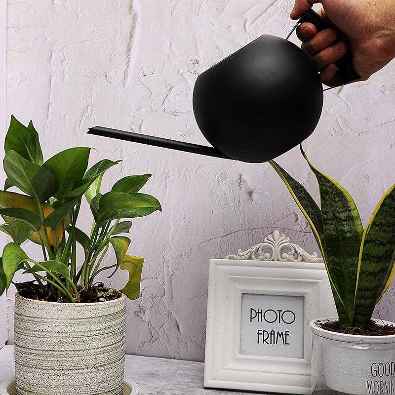 直销新款不锈钢长嘴浇花水壶简约黑色球形洒水器喷壶园艺工具绿植