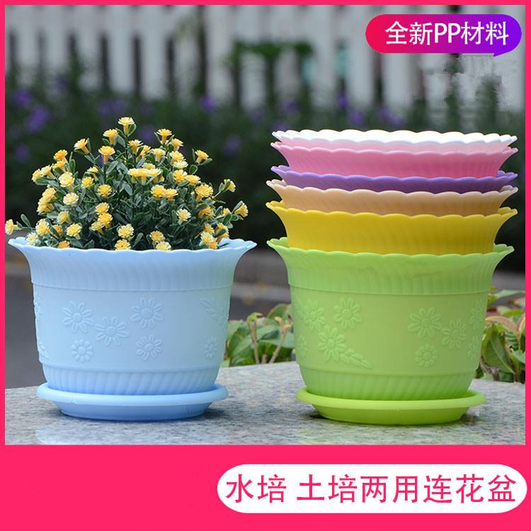 直销新款波浪花边pp塑料盆莲花盆 阳台室内送托盘 多肉水培园艺育