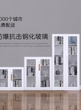 办公室文件柜铁皮矮柜资料档柜AL634487衣案凭证铁柜带锁员工书更