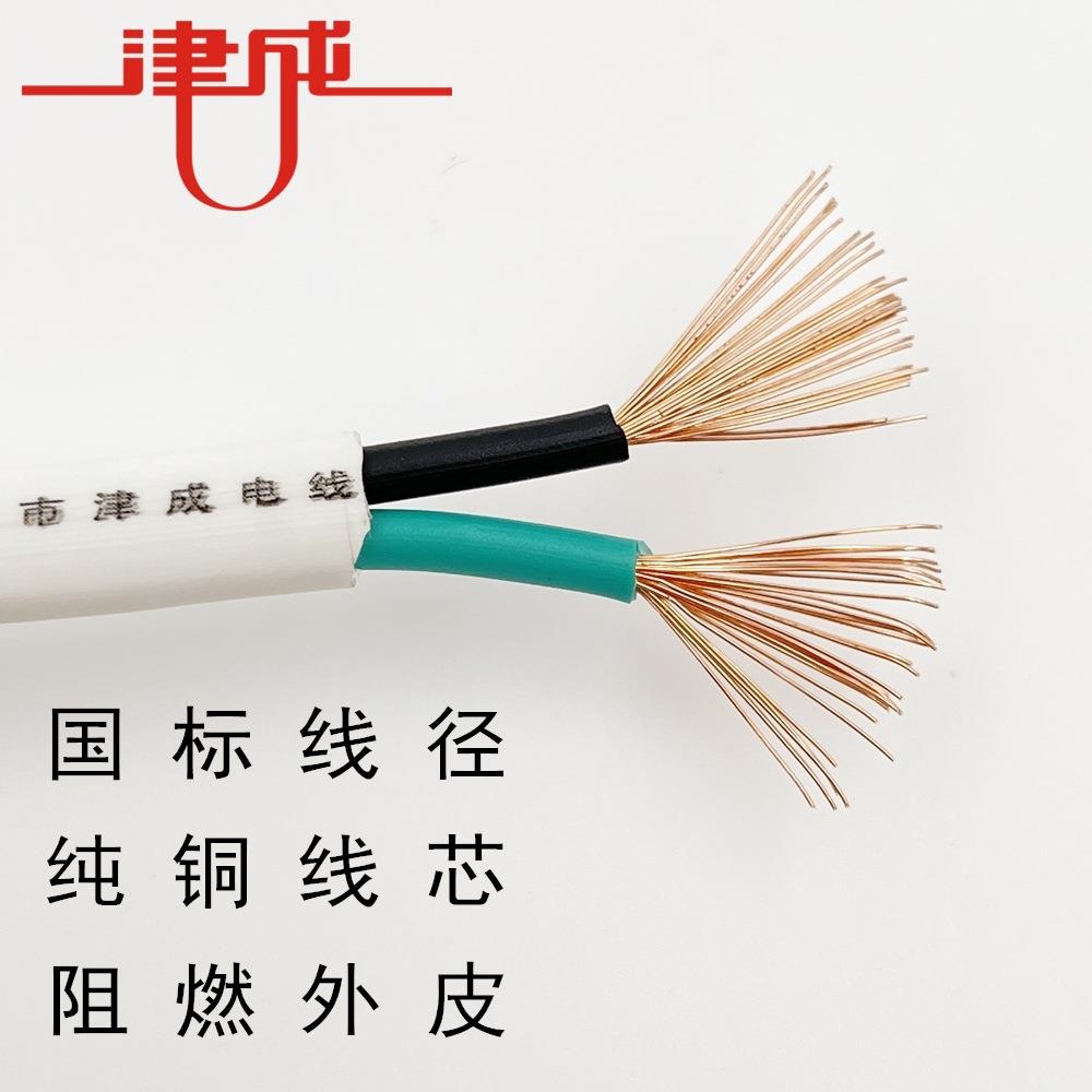 津EFT成牌国标护套电源线ZR-RVV22/3芯X0.7/15/1.5/./4平方铜芯5