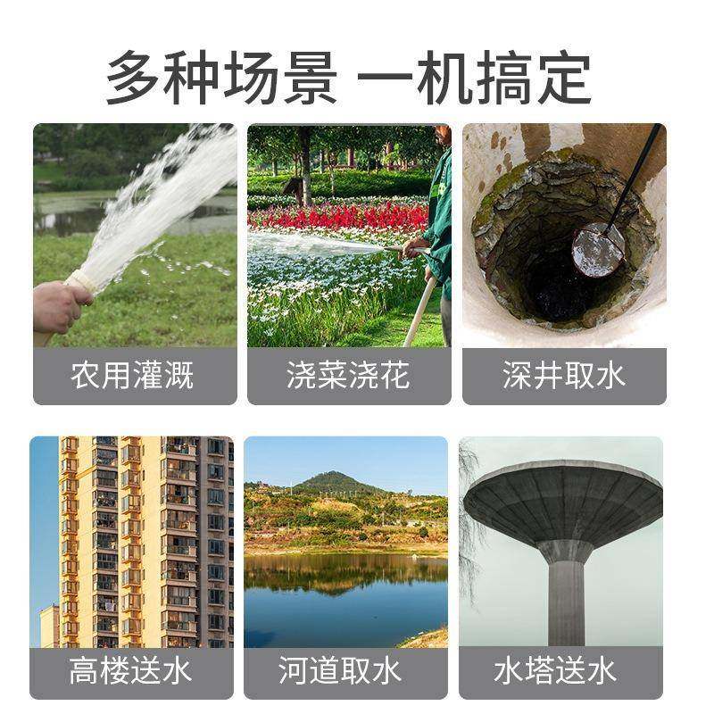 220V高扬程老小鼠潜水泵用农用抽水机抽水泵灌溉DLH自水吸家泵