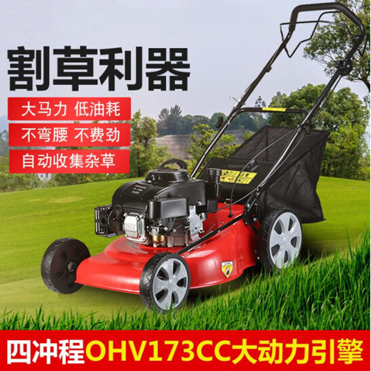 小型汽油手推园林草坪修剪机