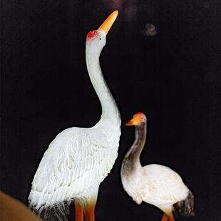 迷饰 迷你仙鹤仿真你仙鹤灯品防水景观太阳能户外园林小灯别灯墅装