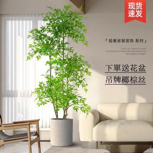 植物南天竹落地盆栽室内大型仿生绿植摆件客厅轻奢装饰花假树