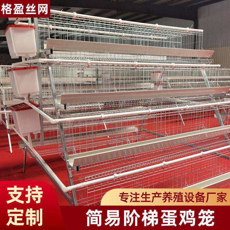 鸡笼子家用室外阶梯式蛋鸡笼简易四层四门鸡笼饲喂鸡舍农业养殖笼