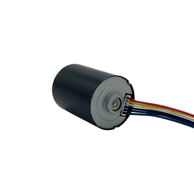 3650无刷电机 PWM调速智能机器人电动窗帘割草机12V24V微型电机