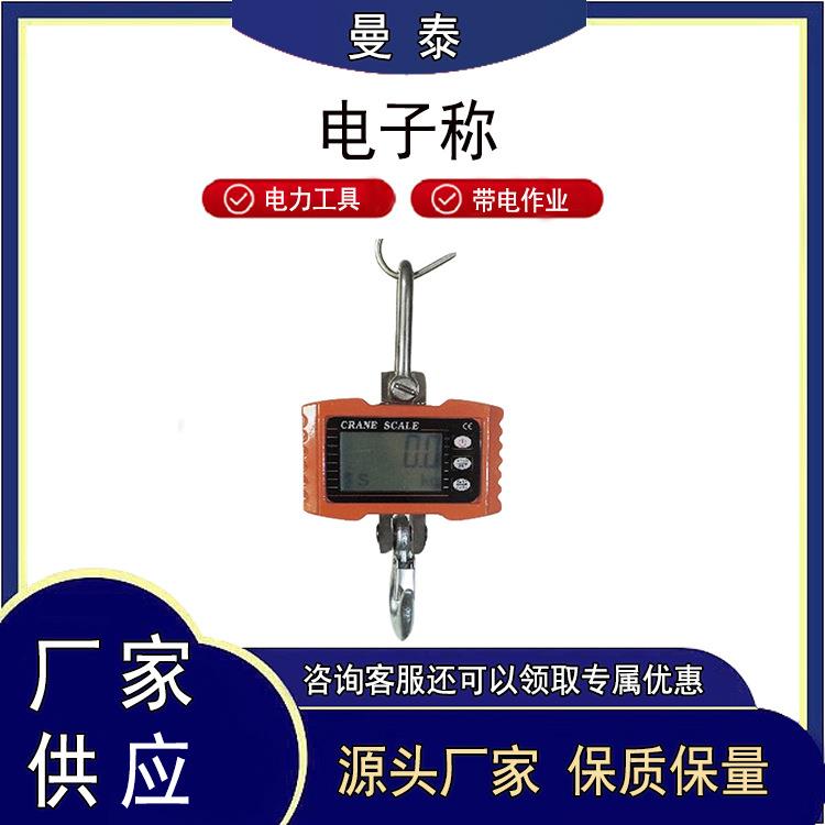 锂电版行车工业吊钩秤直视轻巧型OCS-SE无线电子吊磅行车手提称