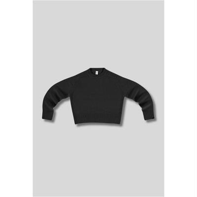 Extreme Cashmere 中性（成人） FW26 毛衣 超级羊绒毛线衫