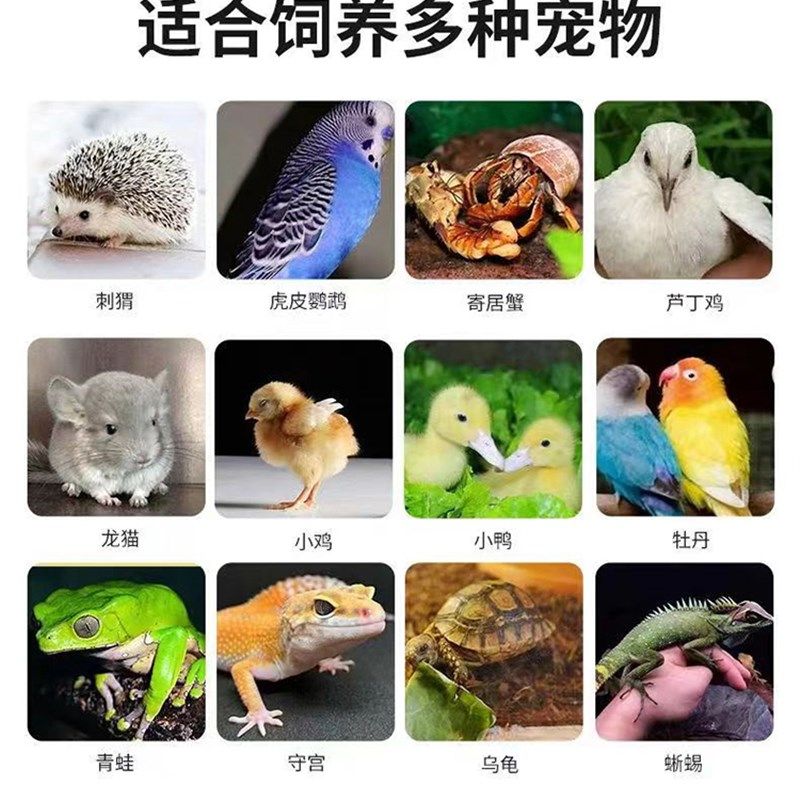 芦丁鸡饲养箱爬宠加热观赏箱仓鼠鹌鹑繁殖育雏宠物造景别墅恒温箱