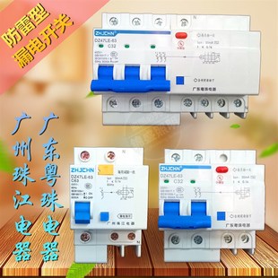 粤珠珠江DZ47LE防雷型漏电断路器保护器63A漏电开关ZHJCHN电闸
