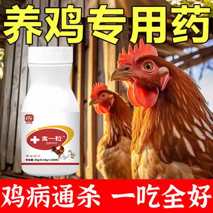 禽一粒片正品养鸡瘟病全治专用家禽鸡鸭鹅感冒咳嗽拉稀特效救命药
