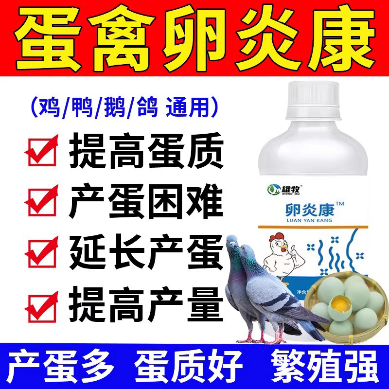 卵炎康专治鸽子不下蛋禽用鸡鸭鹅催蛋素下蛋不受精可孵化催蛋专用