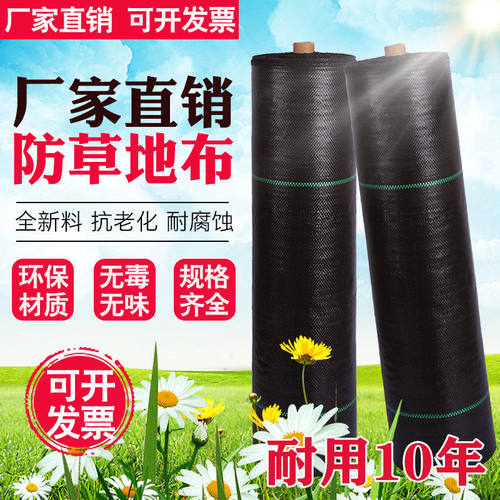 农用加厚耐用抗老化防草布园艺地布遮盖草黑色膜果树园透气保湿