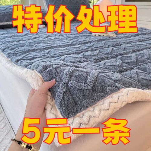 加绒加厚b床护垫法兰塔芙绒床褥床上用品秋冬季节家用保暖垫子双