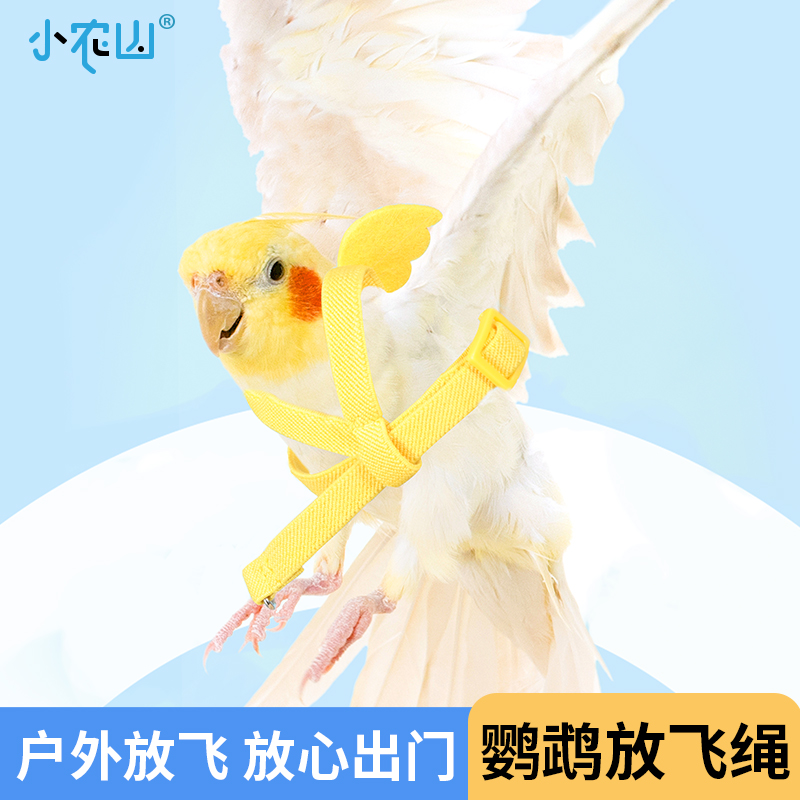 玄凤虎皮鹦鹉放飞绳背带背心款芦丁鸡外出绳子牵引绳遛鸟绳飞行绳