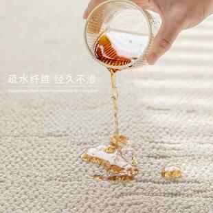 防水防污免洗可擦轻奢高级感沙发夏季 硅藻丝地毯客厅2024新款 地毯