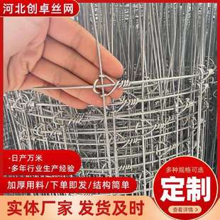 牛栏网厂家果园圈地草原防护网养殖钢丝围栏不锈钢牛羊护栏网