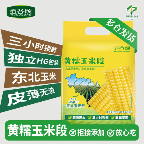 黄糯玉米段五谷颂东北糯玉米