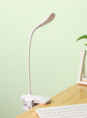 LED小台灯护眼书桌学生可充电z插电两用触摸USB台灯宿舍床头夹子
