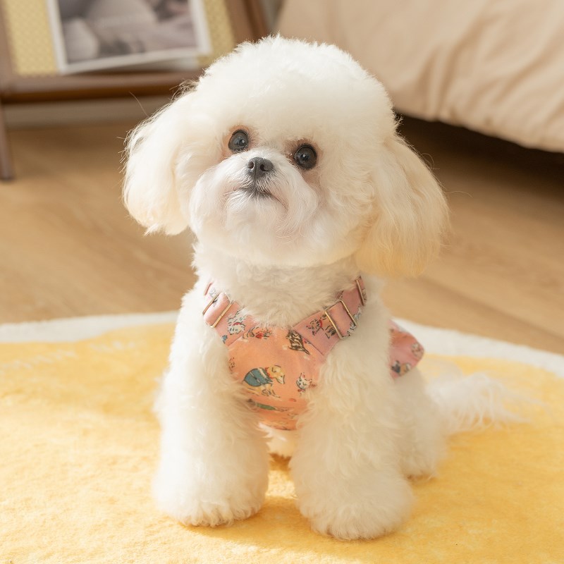 小狗狗裙子夏天薄款泰迪宠物博美雪纳瑞小型犬中型犬比熊衣服夏季