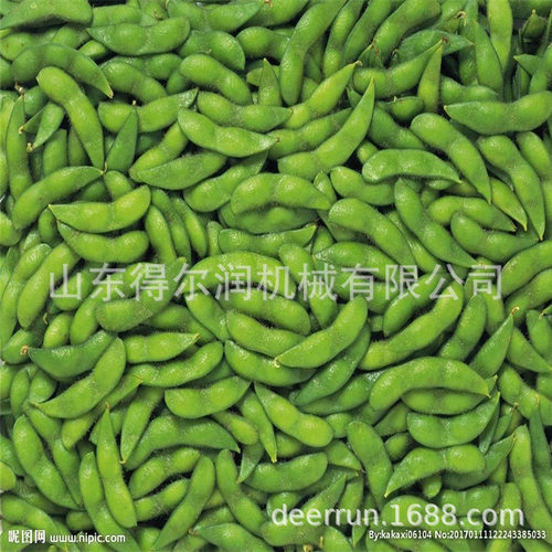 春夏换新 速冻盐水毛豆加工设备 青毛豆清洗蒸煮冷却流水线厂家