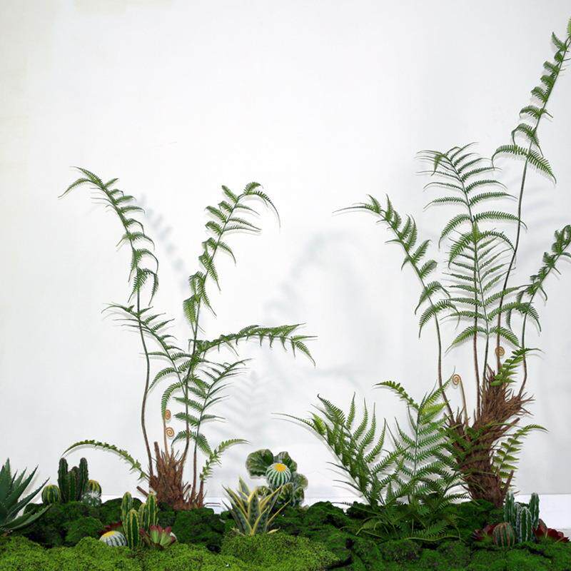 仿真植物金星蕨盆栽蕨叶类热带绿植民宿热带雨林装饰造景蕨草摆件