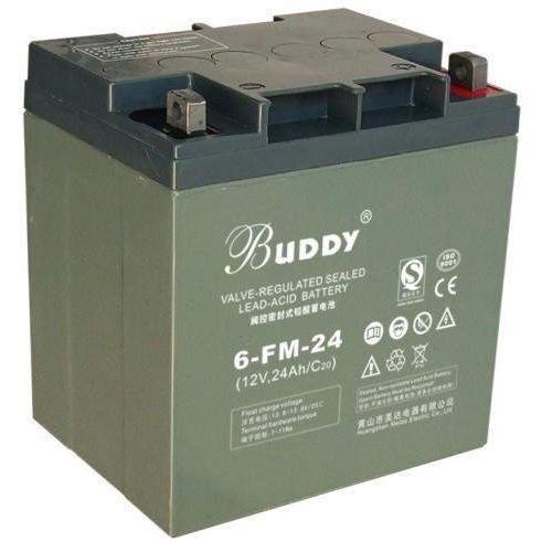 6-GFM-38 宝迪蓄电池 BUDY蓄电池 12V38AH 免维护蓄电池