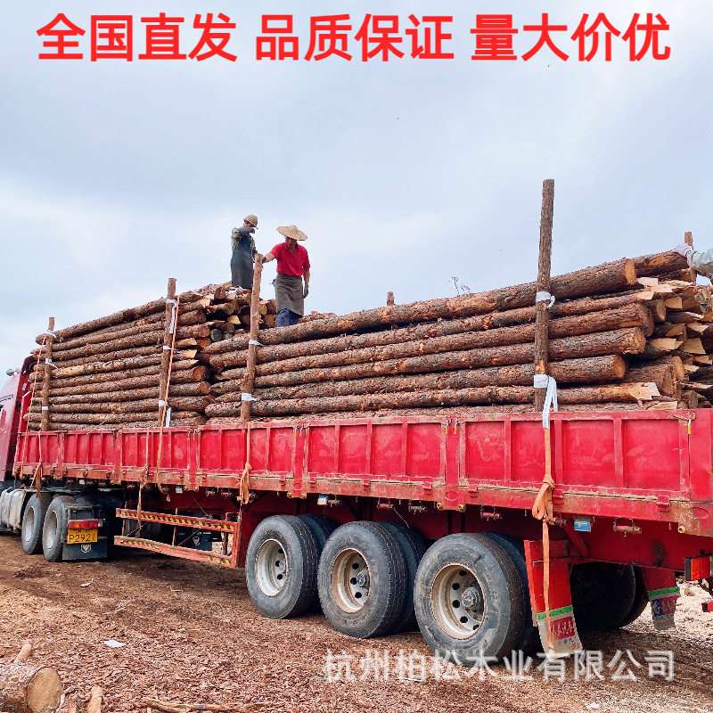 杉木原木桩河道护岸防洪工程松木桩打桩木圆木桩景观绿化杉木桩