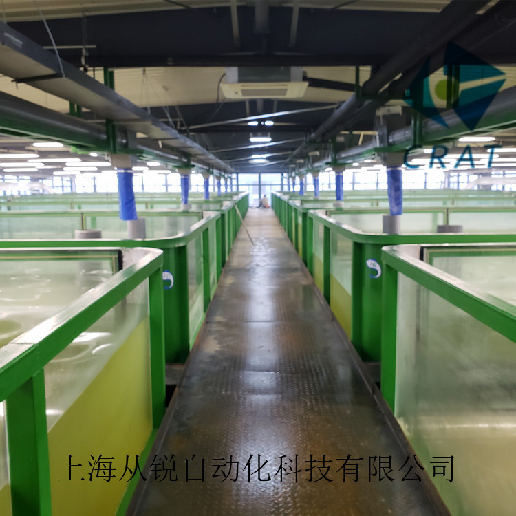 上海从锐新型工厂化室内立体循环水养殖罗氏沼虾/青虾系统设备