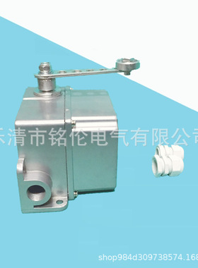 行程限位开关 DF1-A 重负荷限位器 DF1-B 可调转臂滚轮摆杆式