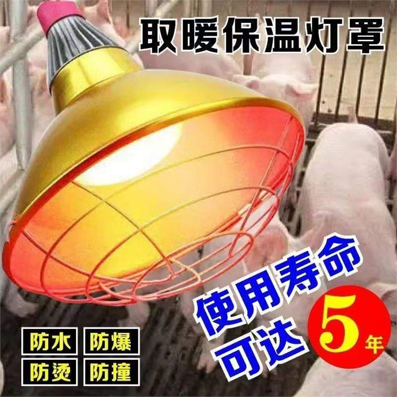 养殖加厚金属防水可调取暖聚光灯