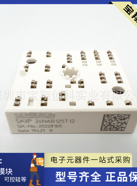 SKIIP24NAB125T12 SKIIP22NAB125T12 31NAB125T12 32NAB125T12