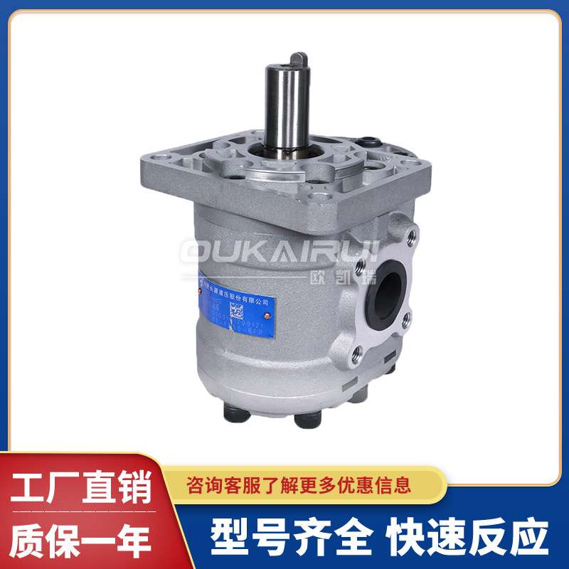 合肥长源液压齿轮泵CBTD-F425/F426.5/F430/F432-ALPL/AFPL/ALH4L