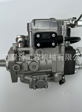 柴油泵 燃油泵VE2201 VE4/11E1700LLD04 1111100-E03-E1