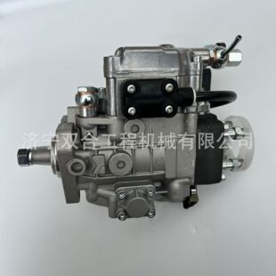 E03 柴油泵 1111100 11E1700LLD04 燃油泵VE2201 VE4