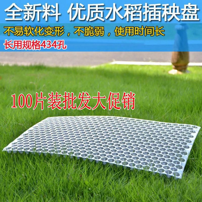 100片晚水稻手抛盘秧盘手抛秧机插盘起苗育苗加厚塑料透明穴盘