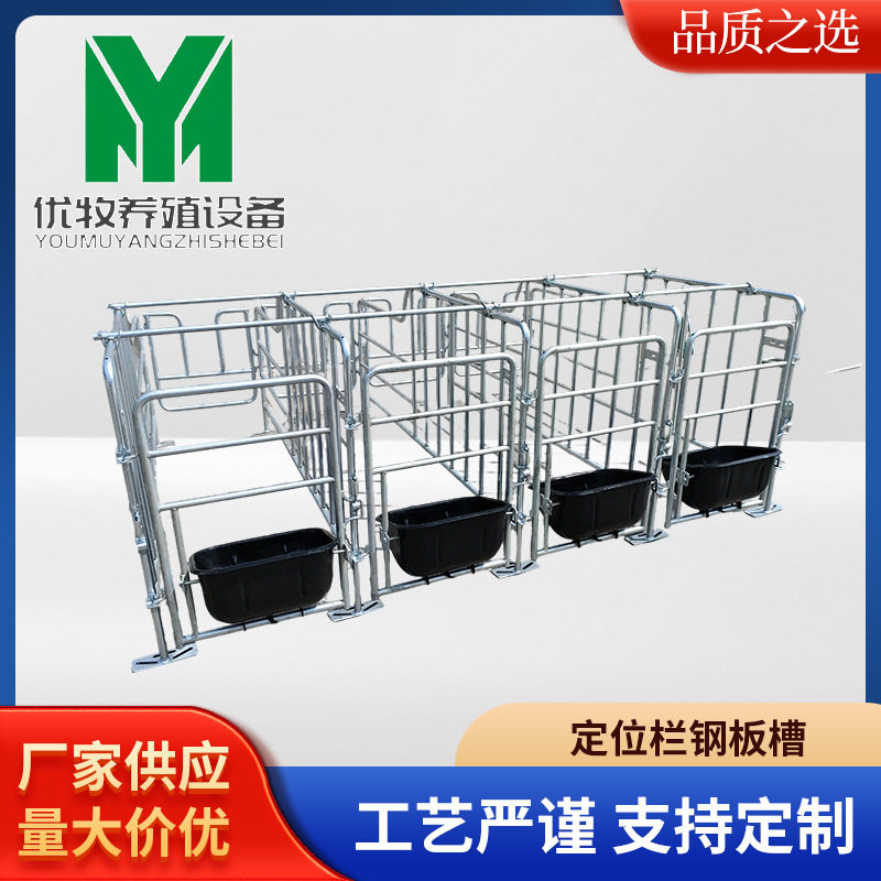 定位栏钢板槽母猪产床落地式加厚猪用喂料限位厂家直供养殖设备