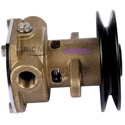 Sherwood Pump 狮龙海水泵总成 Raw Sea Water Pump G910P