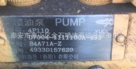 玉柴喷油泵 D7004-1111100A-493 衡阳油泵 B4A71A-Z 型号 4P110