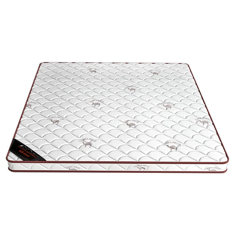 床垫3E椰棕垫租房家用折叠榻榻米棕榈硬垫儿童宿舍垫子折叠便携